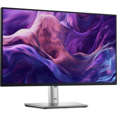 Monitor ProfesionaL P2425HE